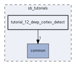tutorial_12_deep_cortex_detect
