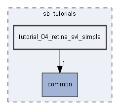 tutorial_04_retina_svl_simple
